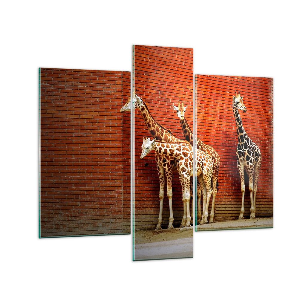 Bilder auf glas - Tiere Giraffen Zoo Familie - 95x80cm - Glasbilder - Wandbilder - Kunstdruck - zum Aufhängen bereit - Wanddekoration aus Glas - G...