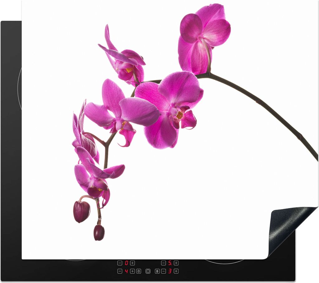 KitchenYeah Herdabdeckplatte Orchidee vor weißem Hintergrund , 57x51cm, Küche Deko, Glaskeramikkochfeld Herdabdeckung, Abdeckplatte fùr Kochfeld