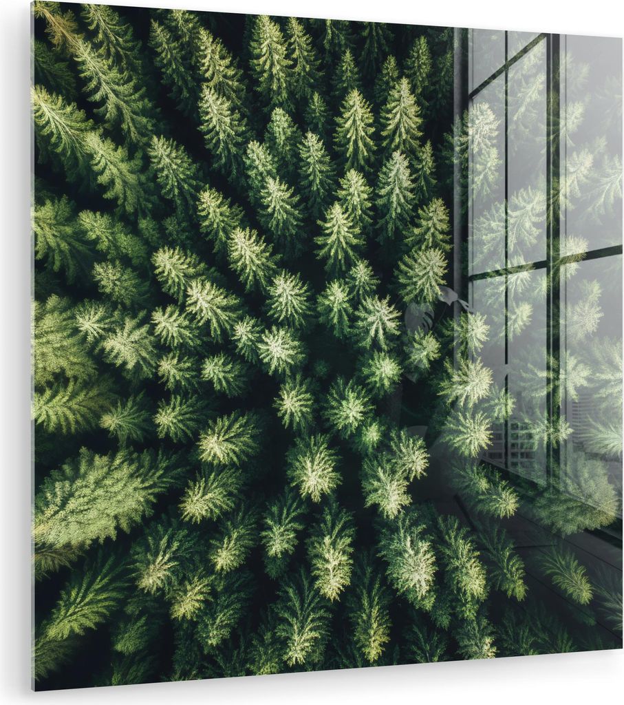 MuchoWow Glasbilder - Bilder auf Wandbild - Foto auf Glas Bäume - Nadelwälder - Struktur 50x50 cm Wanddekoration aus Glas - Acrylglasbild - Acryl...
