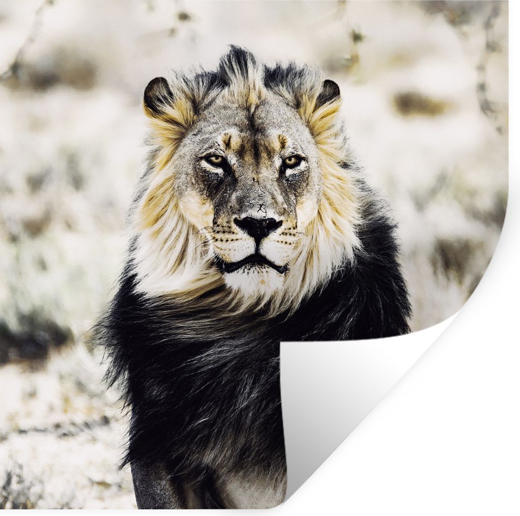 MuchoWow - Selbstklebend - Fototapeten