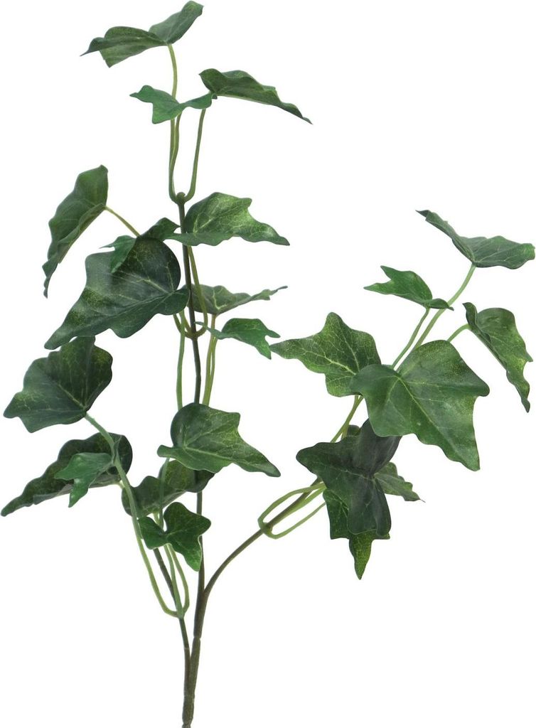 artplants.de Dekozweig Efeu LANSHUO, dunkelgrün, 55 cm - Küntslicher Efeuzweig
