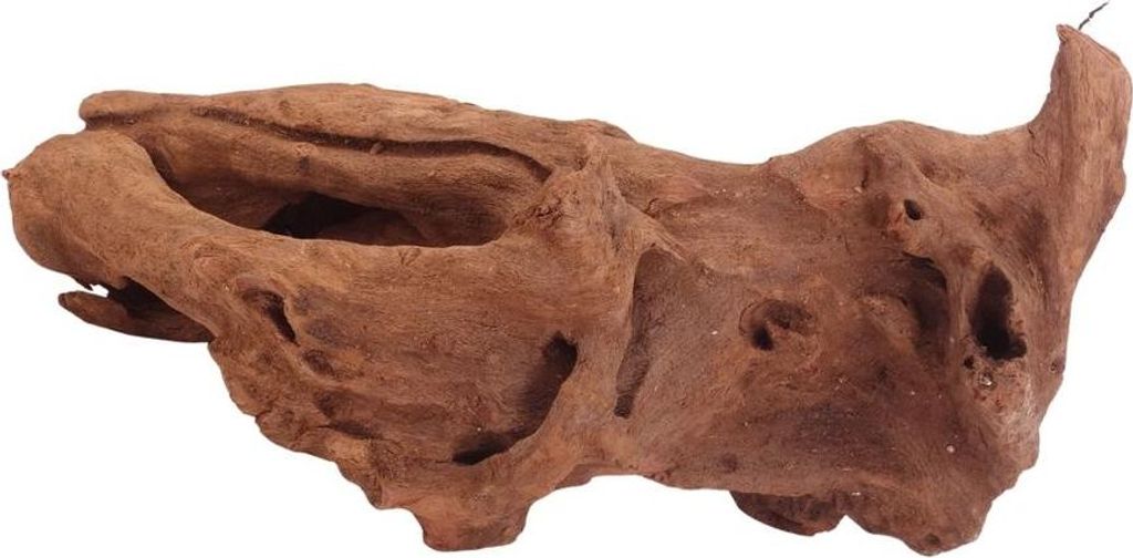 L Mangrovenwurzel Nr.4045 Holz Deko Aquascaping