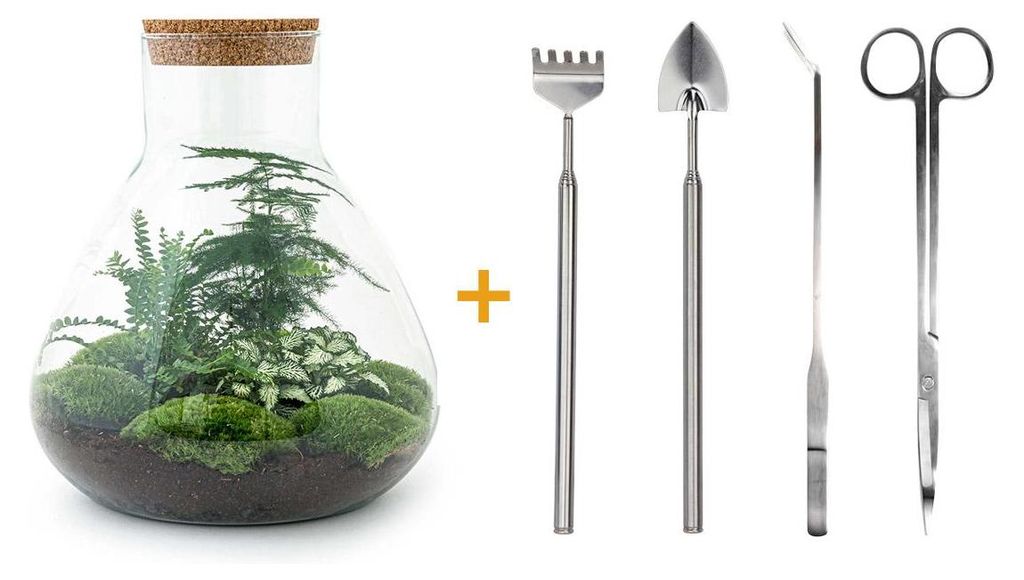 Flaschengarten „Sam XL“ – DIY-Pflanzenterrarium – 35 cm – inklusive Rechen, Schaufel, Pinzette und Schere