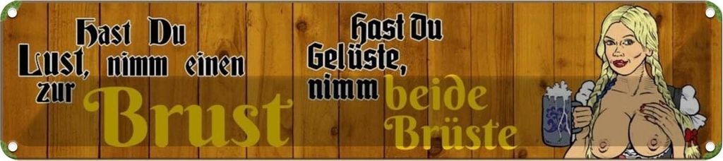 vianmo Blechschild 10x46 cm hast du Lust nimm einen zur Brust Bier Spruch Zitat