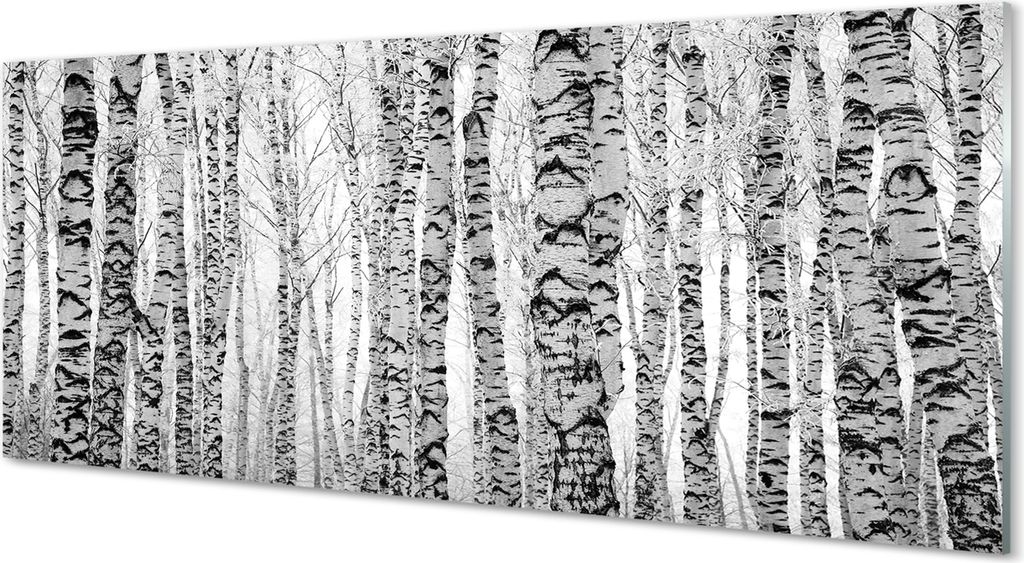 Glasbilder 125x50 Wandkunst Schwarze und weiße Birke
