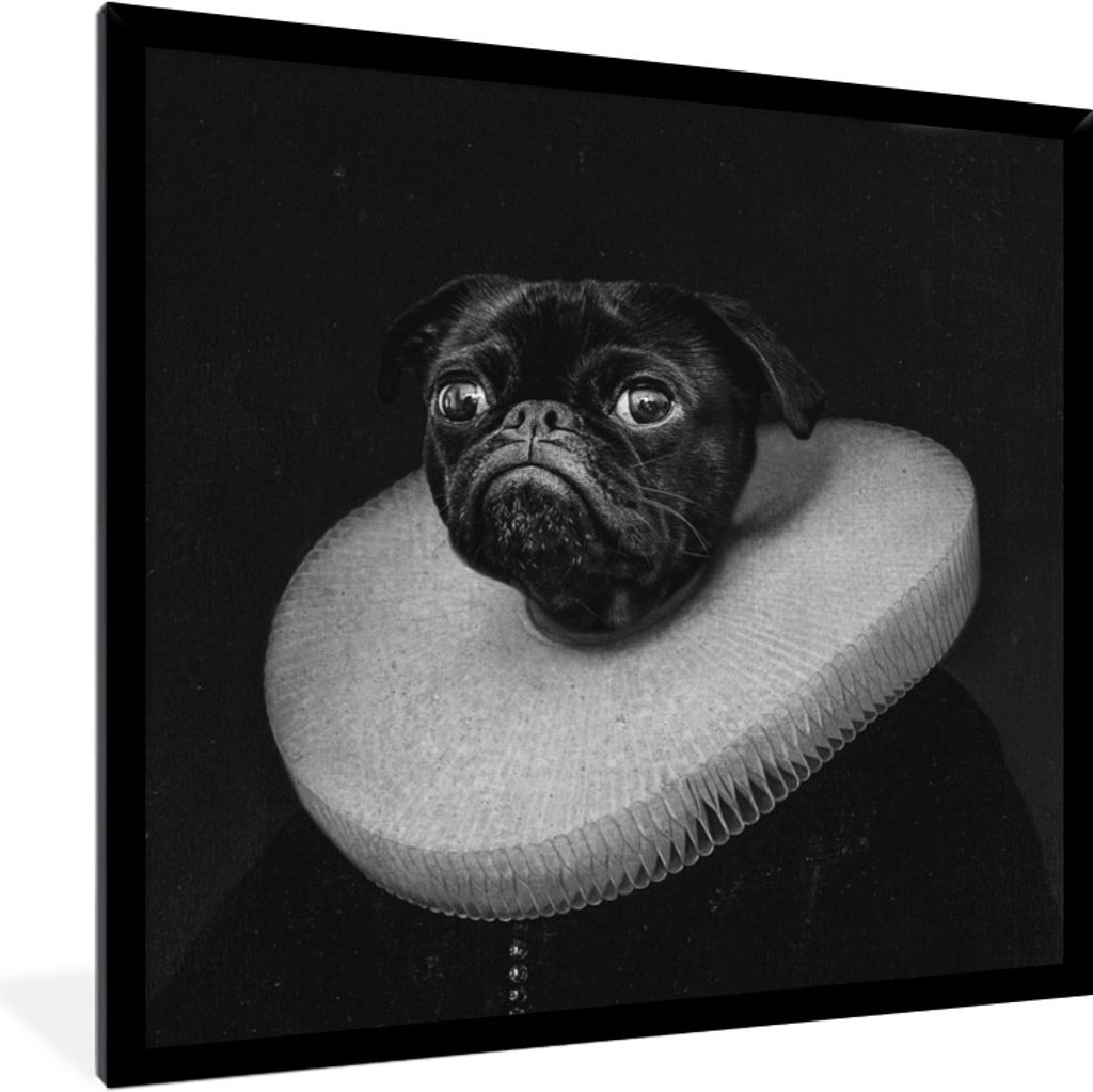 MuchoWow® Gerahmtes Poster Malerei - Mops - Schwarz - Weiß Produktbild 
