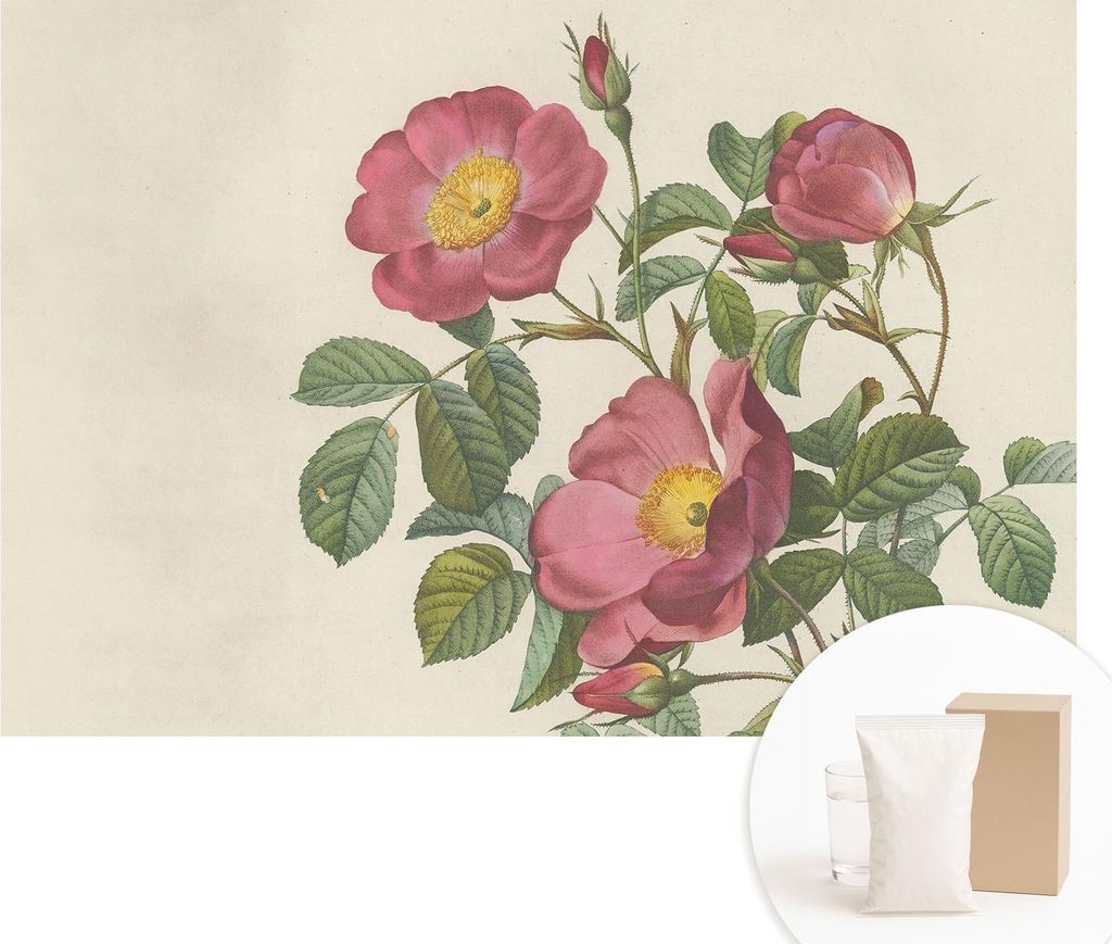 Fototapete - Wandbilder für Wohnzimmer - 152x104 cm - Dekorative Wandfolie - Modernes Design für Wanddekoration - Tapeten für Innenräume - Rose...