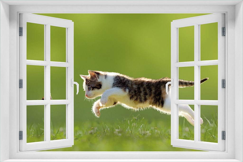 Wallario selbstklebendes Poster mit Fenster-Illusion - Süße Produktbild 
