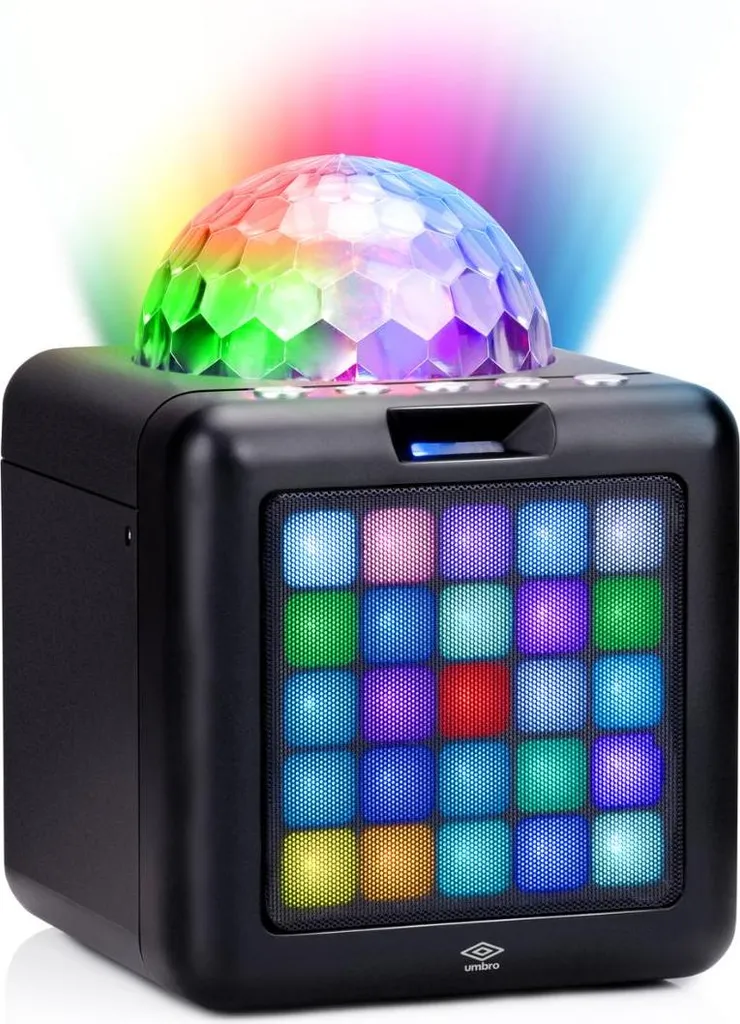 Système karaoké portable pour fête de famille avec enceinte Bluetooth LED