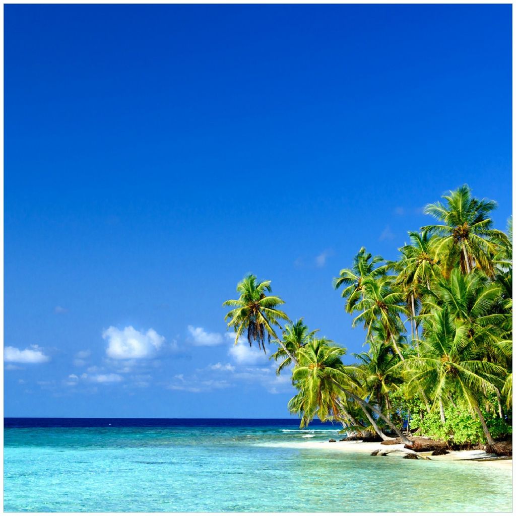 Wallario Premium Glasbild, freischwebende Optik, kräftige Farben, Größe 30 x 30 cm Motiv Blauer Himmel weißer Strand Palmen und das tiefblaue Meer