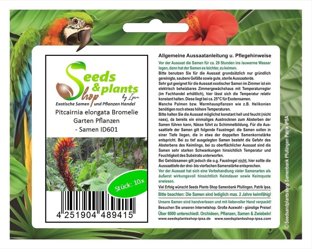 10x Pitcairnia elongata Bromelie Garten Pflanzen - Samen ID601