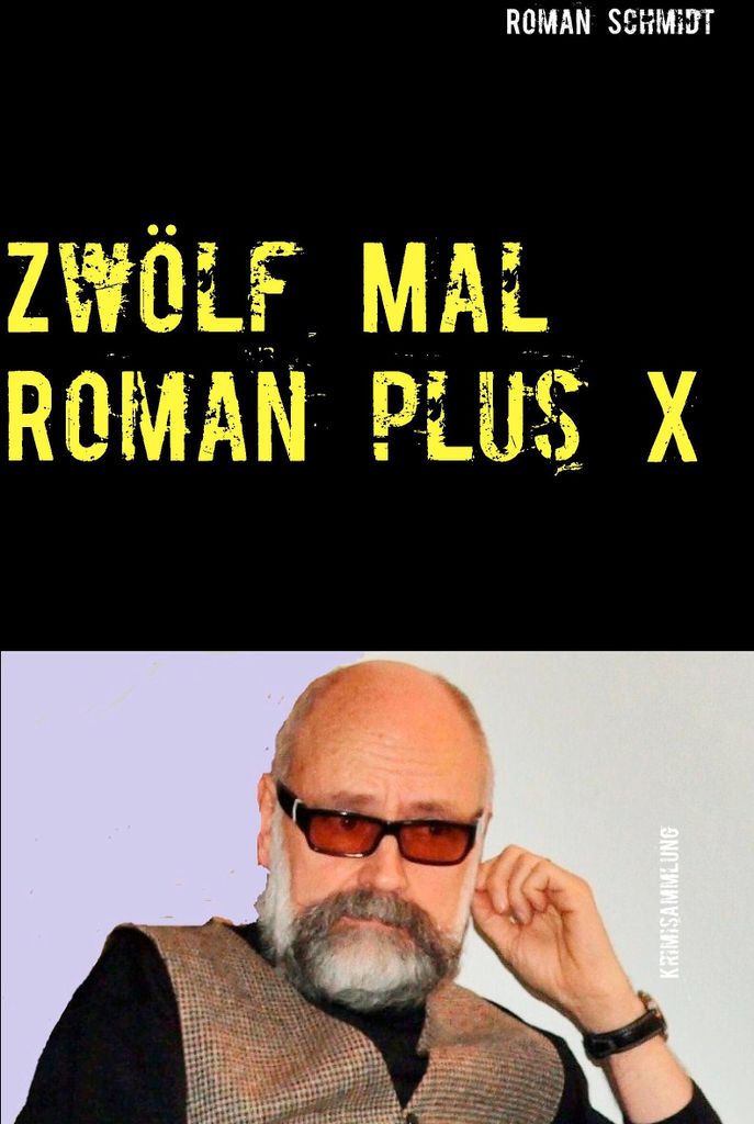 Zwölf Mal Roman plus X
