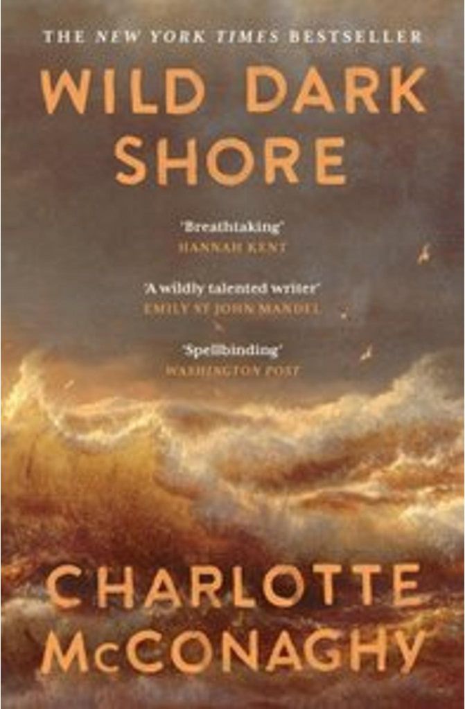 Wild Dark Shore