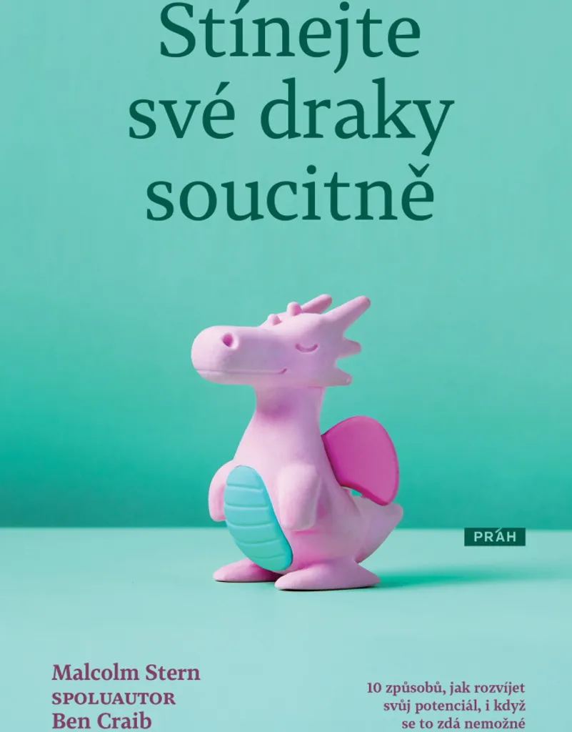 Stínejte své draky soucitně de Ben Craib - Guide pratique de gestion