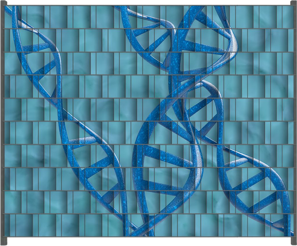 Wallario Zaunsichtschutz mit Motiv DNA-Strang in blau auf türkisem Hintergrund für Ein- und Doppelstabmatten Zäune in der Größe 250 x 200 cm