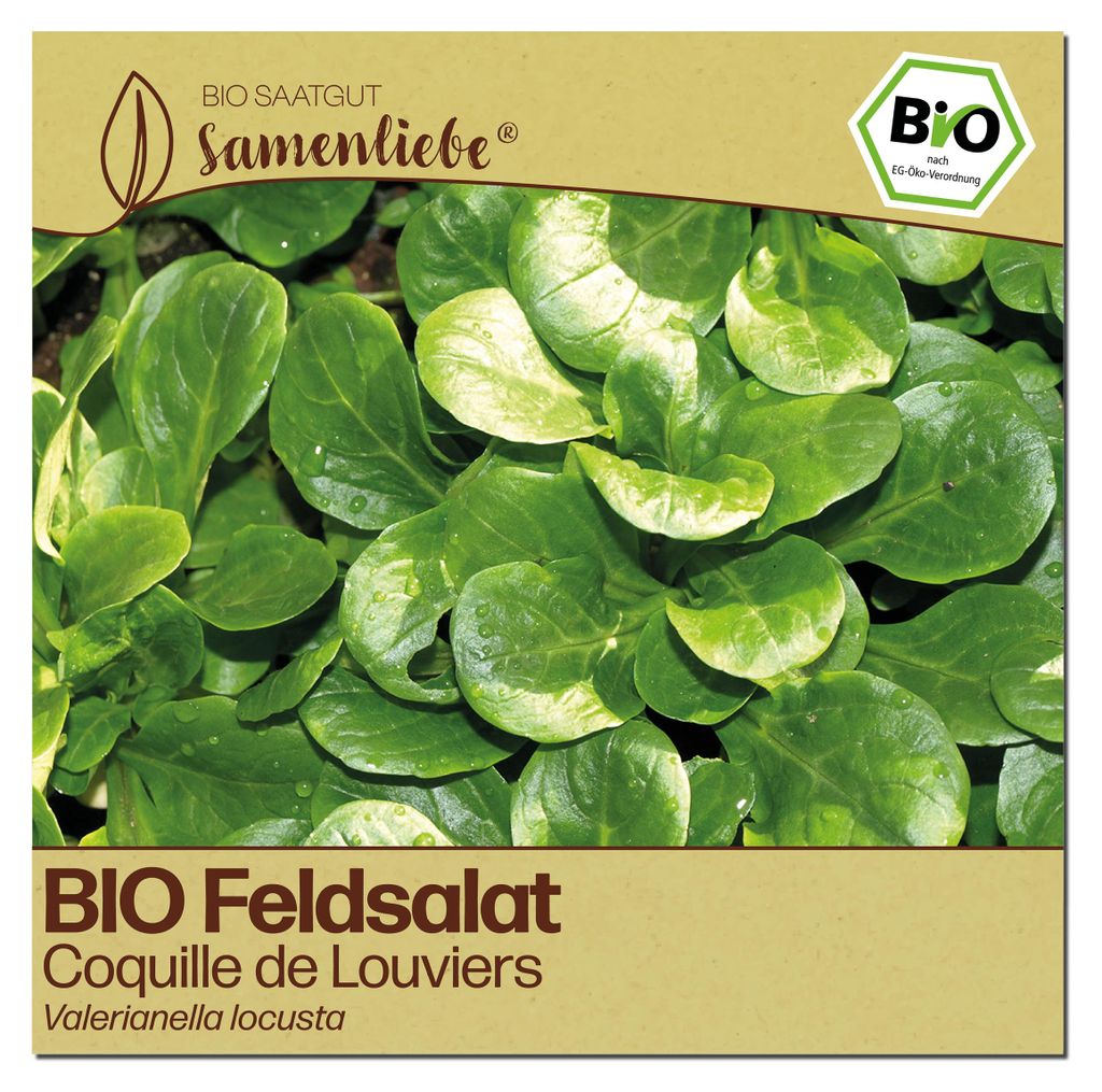 Samenliebe Feldsalat Samen | Coquille de Louviers - winterhart & nussig - samenfestes Saatgut