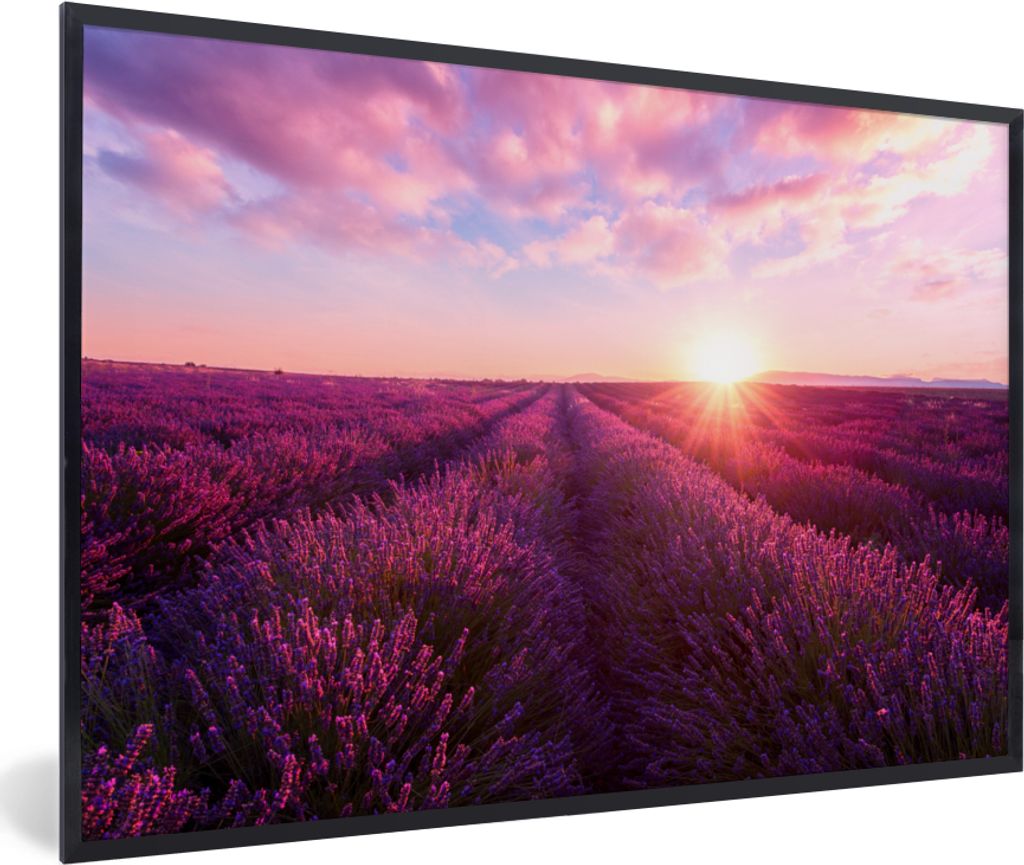MuchoWow Gerahmtes Poster Lavendel - Blumen - Frankreich 30x20 cm - Poster mit Schwarzem Bilderrahmen Wandposter Rahmen Foto Bilder - Kunstdruck ...