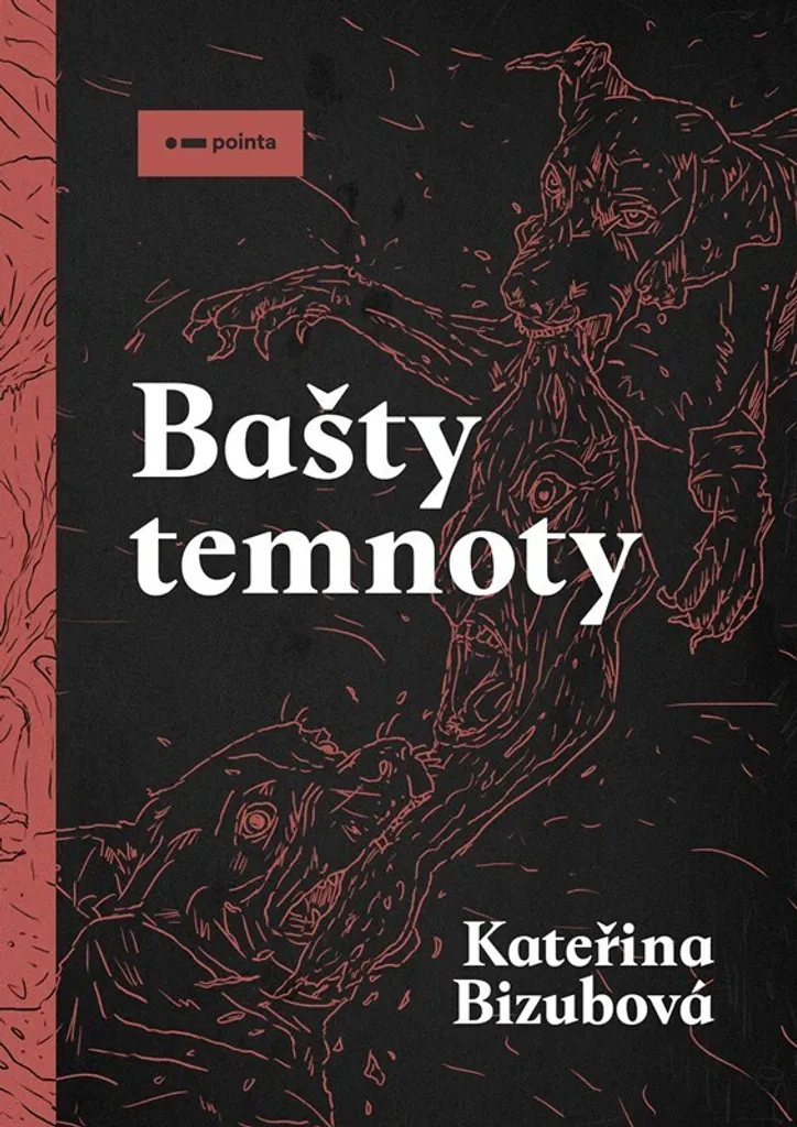 Lecture Évasion Bašty temnoty : Le Roman pour Fans de Fantasy Sombre