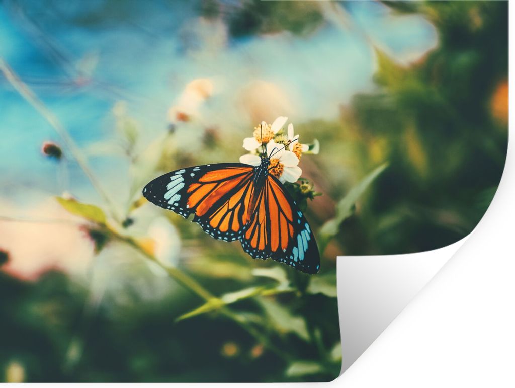 MuchoWow Wandtattoo Wandsticker Wandaufkleber Schmetterling - Blumen - Garten 40x30 cm Selbstklebend und Repositionierbar - Faltenfrei