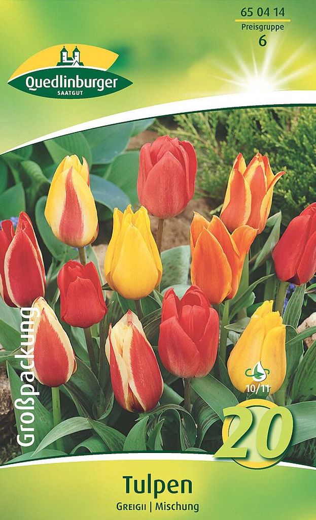 Artikelbild 2 von 'Tulpen Greigii Mischung (20 Stück)' aus der Kategorie Tulpenzwiebeln