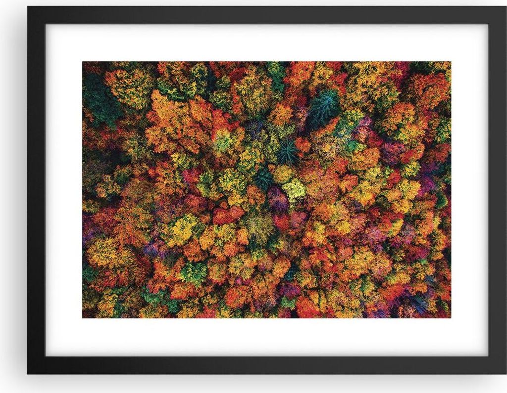Gerahmtes Poster - Schwarzer Rahmen - Herbst Perspektive Vogel - 40x30 cm - Wand Bild - Wanddeko - Wandbilder - Kunstposter - Wandposter - Bilderra...