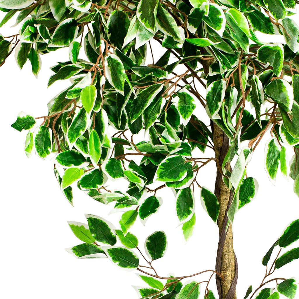 Knstliche Benjamin Ficus Pflanze 160cm | Decovego