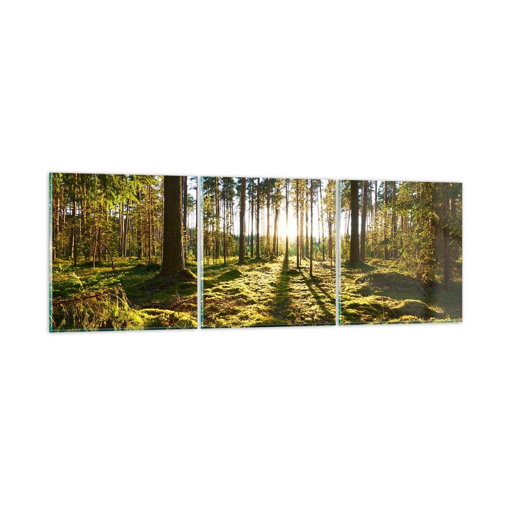 Bilder auf glas - Wald Baum Natur - 150x50cm - Glasbilder - Wandbilder - Kunstdruck - zum Aufhängen bereit - Wanddekoration aus Glas - Glas Bilder...