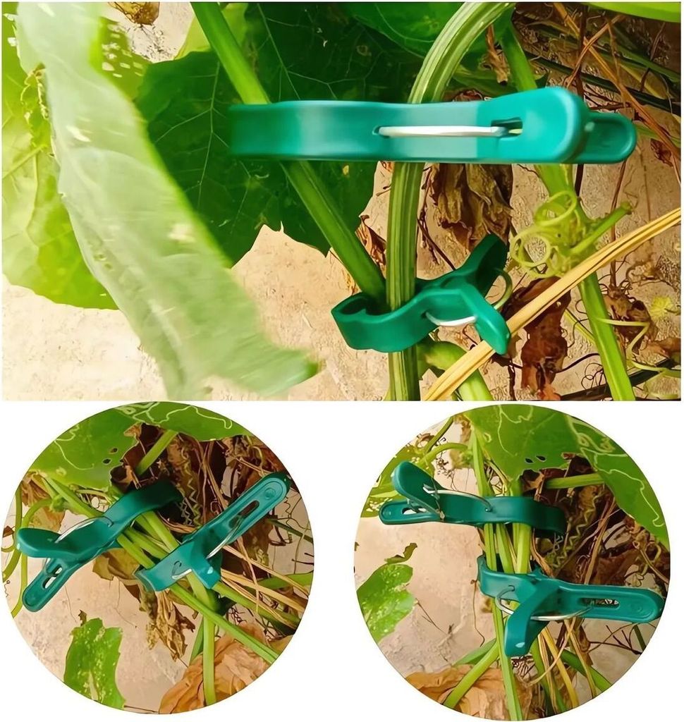 100 Stück Pflanzenclips – Transparent, 25 Mm, Für Tomaten, Gurken, Rosen & Rankpflanzen, Wiederverwendbar