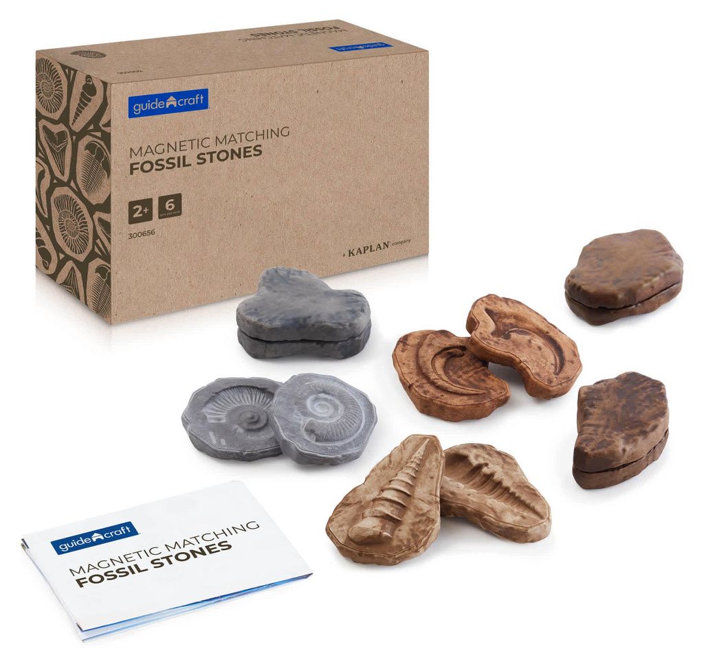 Guidecraft Lernspielzeug Magnetic Matching Fossil Stones - Set aus 6 Steinen