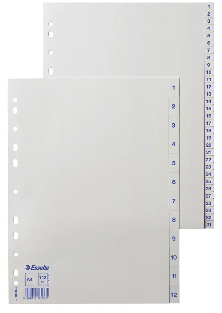 Répertoire A4 en Plastique PP Blanc de 12 Touches Haute Résistance