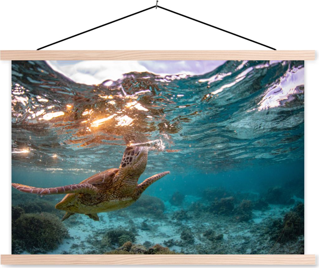 MuchoWow Textilposter Meer - Schildkröte - Farben 60x40 cm mit holzfarbenen Rahmen - Bilder