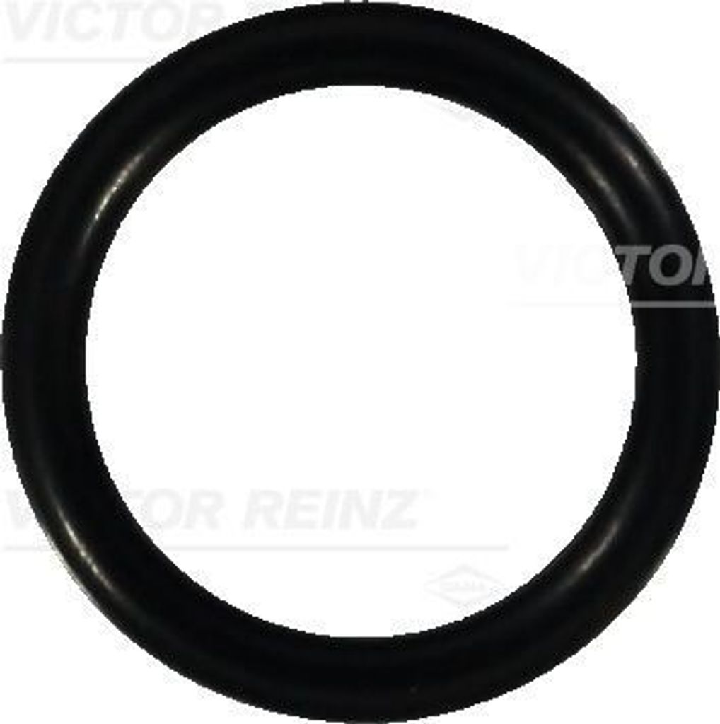 REINZ Dichtring 40-76059-00 3mm NBR (Nitril-Butadien-Kautschuk) 18mm 24mm
