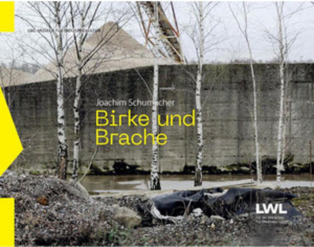 Birke und Brache