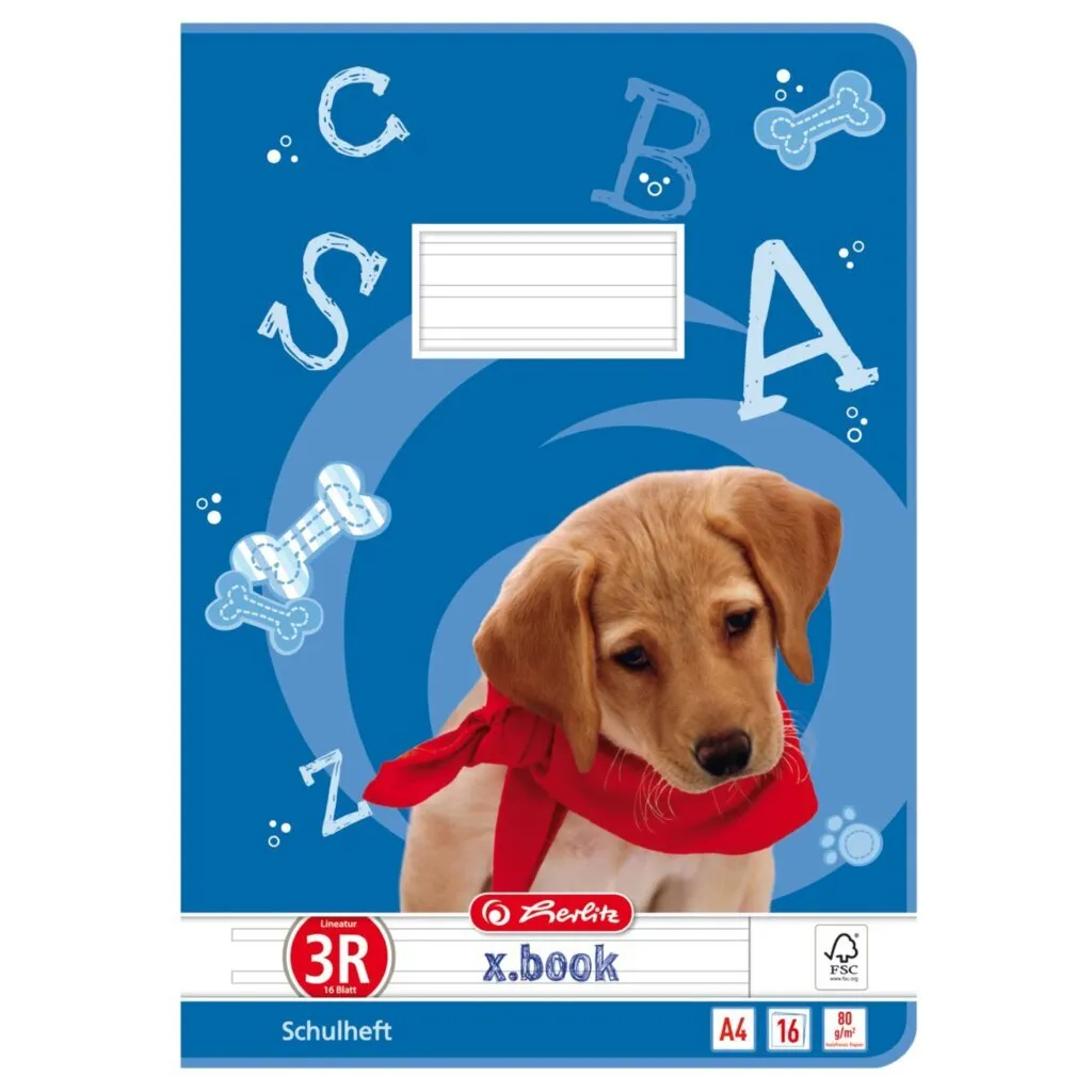 Miglior Quaderno 3R A4 per Terza Elementare - Carta 80g Anti-Strappo
