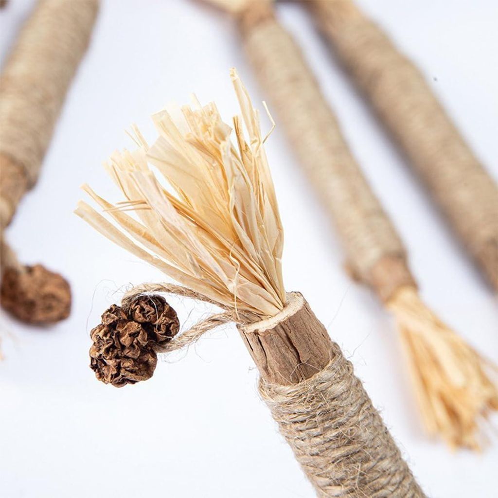 Natürliche Katzenminze-Sticks Set - Interaktives Katzenspielzeug zur Zahnpflege - Perfekte Zahnpflege für Katzen
