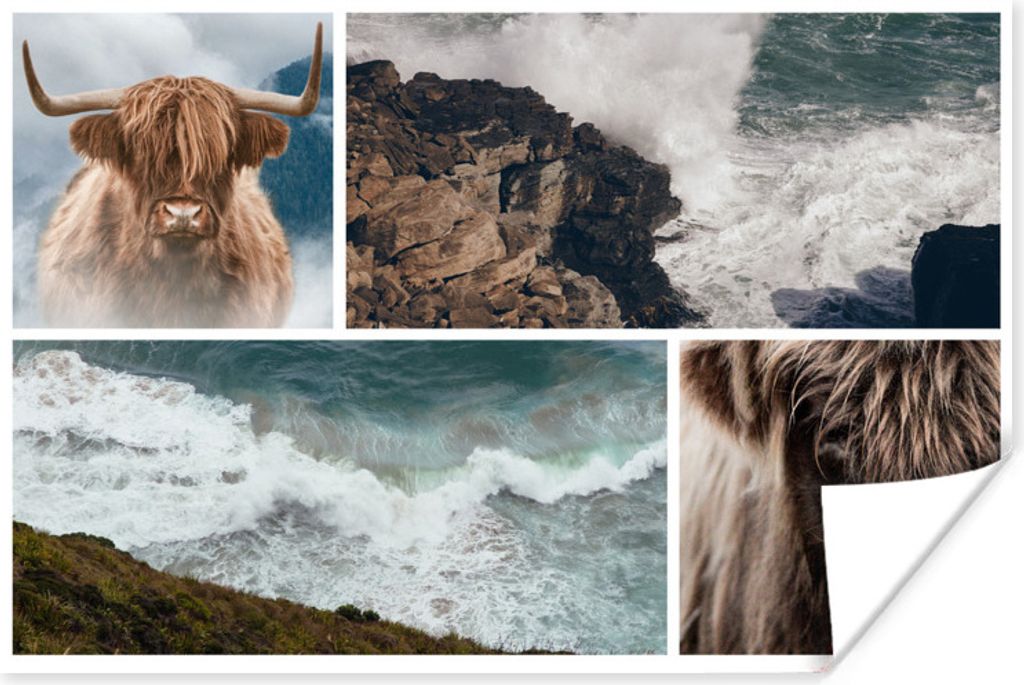 MuchoWow Poster Collage - Schottisches Hochlandrind - Meer 120x80 cm - Bilder