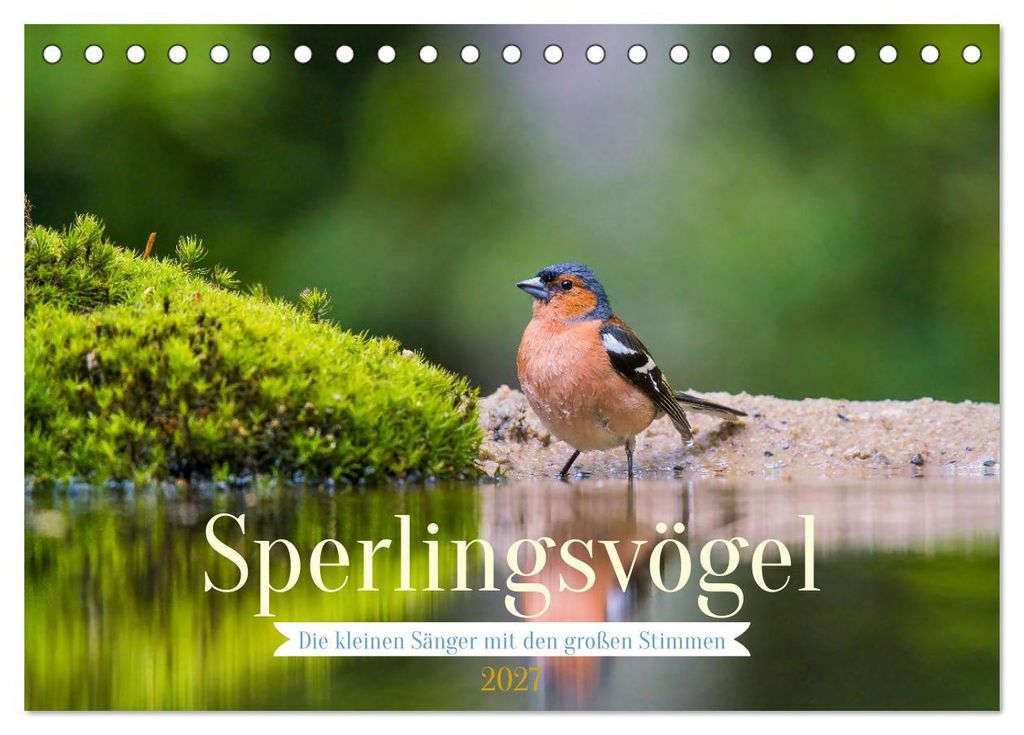 Sperlingsvögel - Die kleinen Sänger mit den großen Stimmen (Tischkalender 2027 DIN A5 quer), CALVENDO Monatskalender