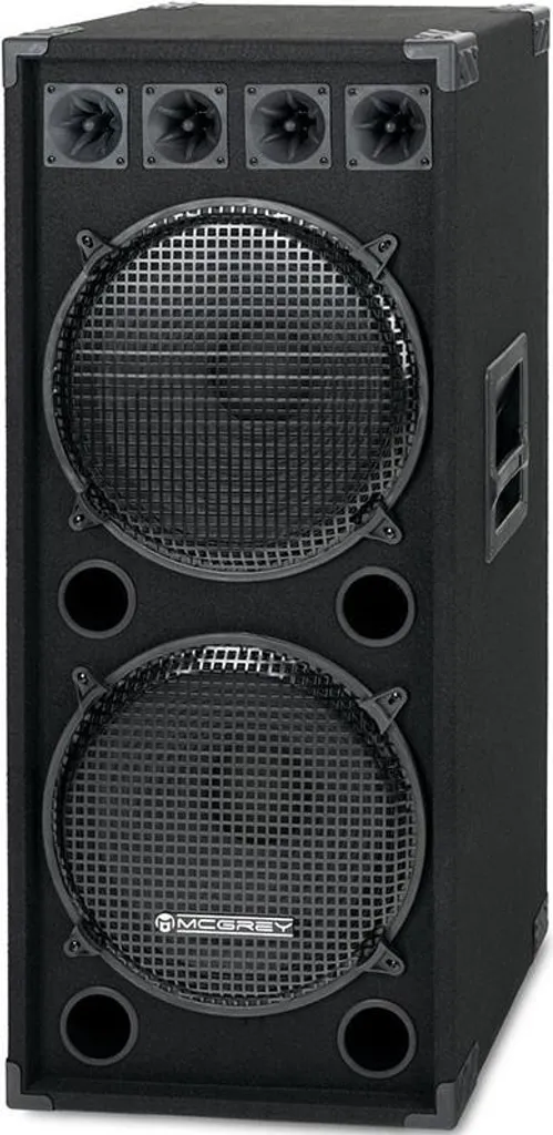 Enceinte DJ-2522 1500W Noire - Finis les Sons Saturés en Plein Volume