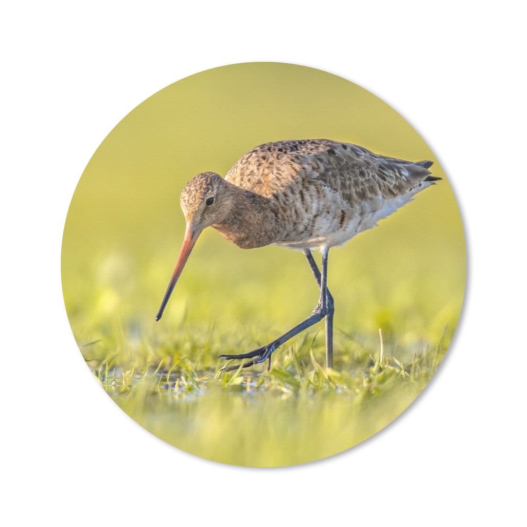 MuchoWow® Mauspad Mousepad Vögel - Gras - Landschaft - Produktbild 