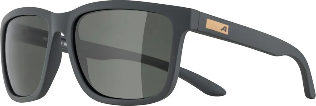 Lunettes de soleil ultra légères Alpina Burst Grey Gloss Green