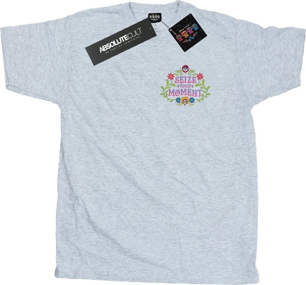 Disney - "Coco Seize Your Moment" T-Shirt für Herren BI52458 (S) (Grau)