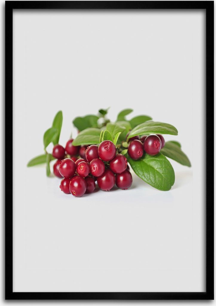 Bild - Bilderrahmen - Foto - 70 cm x 100 cm - MDF - Rahmen - Wandkunst - Heidelbeere