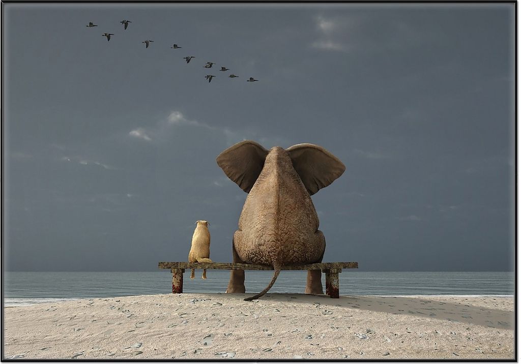 Wallario Wandbild Elefant und Hund sitzen auf einer Bank, Größe: 70,30 x 100,30 cm, Poster mit schwarzem Aluminiumrahmen