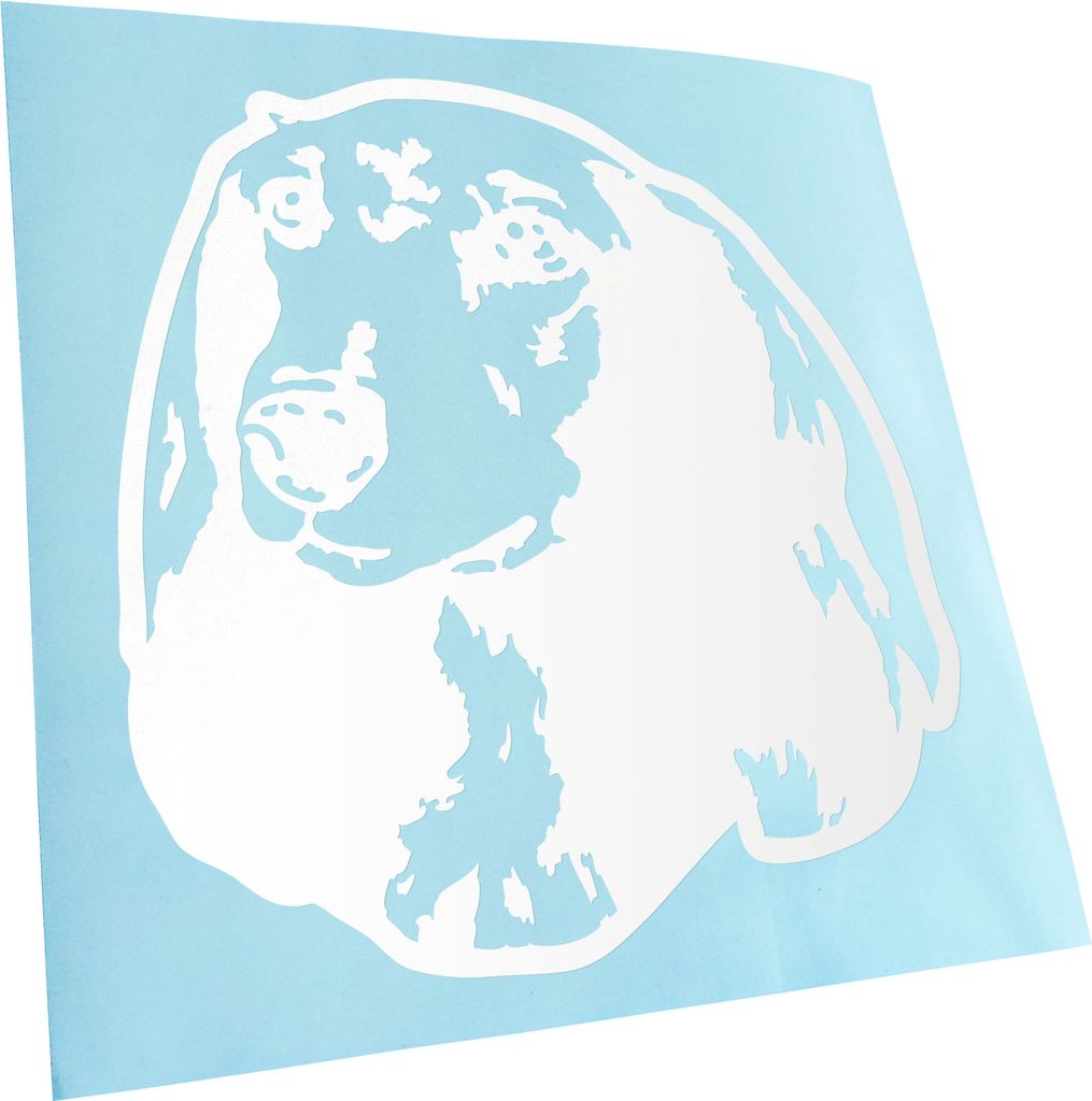 Kiwistar - Autoaufkleber - dachshund Hund - Weiss - 60x55cm - Aufkleber für Auto, Laptop, Fahrrad, LKW, Motorrad mehrfarbig JDM Decal Racing