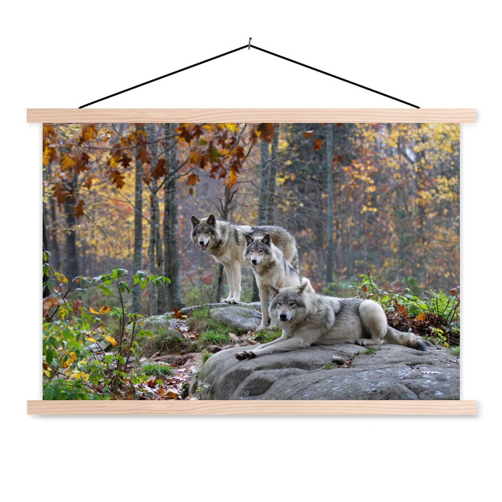 MuchoWow Textilposter Wölfe - Fels - Wald 60x40 cm mit holzfarbenen Rahmen - Bilder