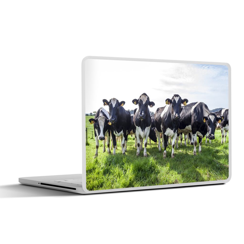 MuchoWow Laptop Aufkleber Sticker Cover Kühe - Licht - Frühling 30x22 cm - Laptop-Sticker