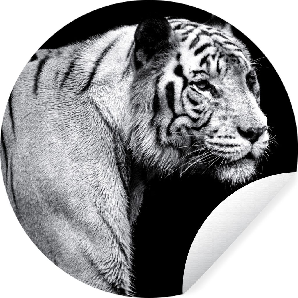 MuchoWow Runde Wandtattoo - Wandsticker Tapete Aufkleber Tiger - Wilde Tiere - Licht Ø 50 cm Selbstklebend und Repositionierbar - Wandaufkleber ...