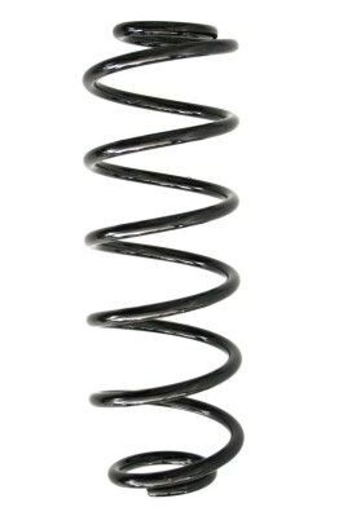 SPIDAN Fahrwerksfeder Hinten für FORD FUSION (JU) 55289