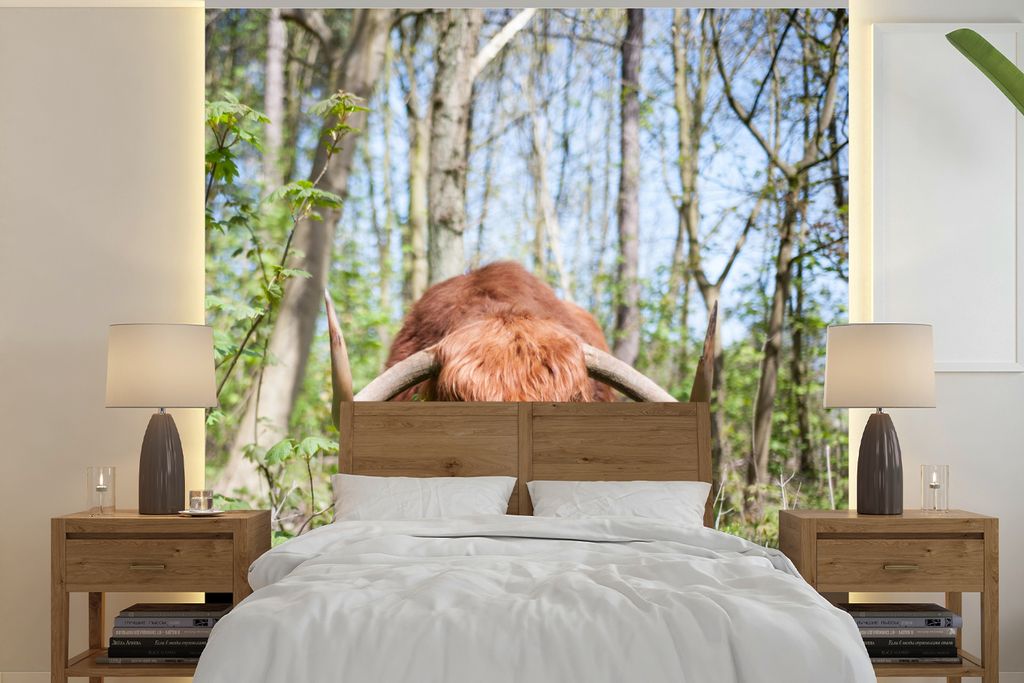 MuchoWow Fototapete für Wohnzimmer oder Schlafzimmer Wandtapete Vinyl Motivtapete Schottischer Highlander - Wald - Schottische Kuh - 280x280 cm ...