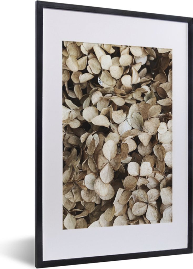 MuchoWow Gerahmtes Poster Blumen - Hortensie - Braun 40x60 cm - Poster mit Schwarzem Bilderrahmen Wandposter Rahmen Foto Bilder - Poster in Rahmen